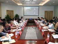 “新老人”引领消费新风向：我国银发经济在需求迭代中迎来新发展